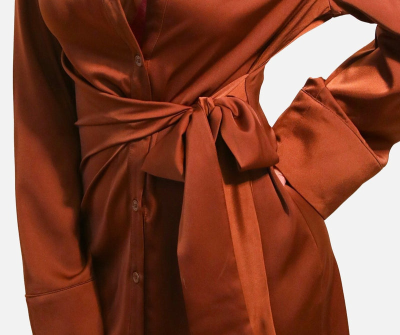 Silky Brown Button-Down Shirt Dress